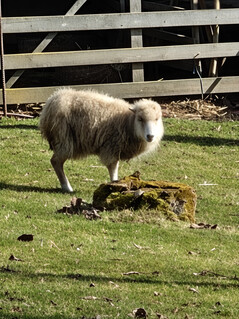 Fotocamera principale (zoom 20x)