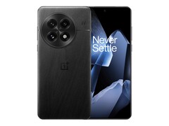 OnePlus 13 (nella foto) ha un display leggermente curvo. (Fonte: OnePlus)