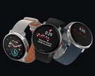 Il Polar Vantage V3 è ora idoneo per il suo secondo aggiornamento software. (Fonte: Polar)