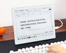 L'ultimo monitor e-ink di Dasung può raggiungere una frequenza di aggiornamento di 60 Hz. (Fonte: Dasung)