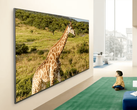 Un'immagine promozionale del televisore LG QNED84B.