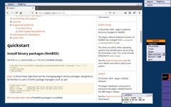 L&#039;ambiente grafico ctwm di NetBSD (Fonte: NetBSD)