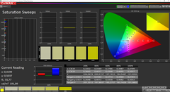 CalMAN Saturation Sweeps calibrato