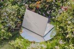 Non tutti gli Asus ZenBook S14 e Zenbook S16 sono disponibili in tutte le regioni. (Fonte immagine: Asus)