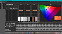 ColorChecker dopo la calibrazione