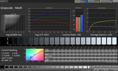 Scala di grigi CalMAN