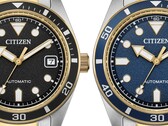 Citizen bicolore
