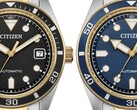 Citizen bicolore