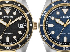 Citizen bicolore