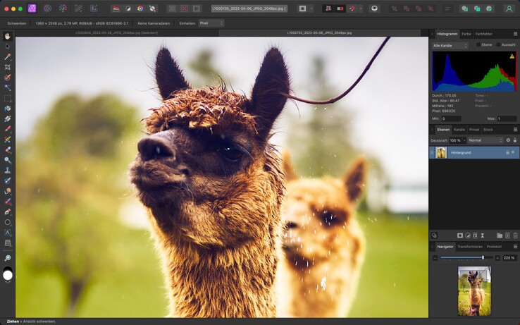 L'interfaccia utente di Affinity Photo 2 può essere configurata e personalizzata in base alle proprie preferenze.