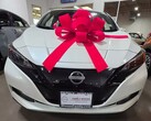 La Nissan Leaf. Donna maltrattata razzisticamente e dotata di EV, non cambia più l'olio (Fonte: Makayla Starks)