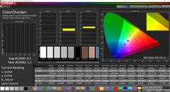 CalMAN ColorChecker calibrato (spazio colore target P3)