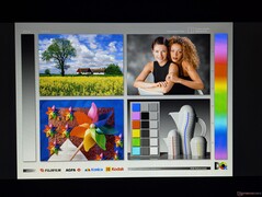 Ampi angoli di visione IPS