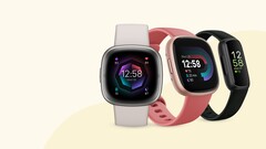 Fitbit è ora un marchio di Google. (Fonte: Fitbit)