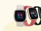 Fitbit è ora un marchio di Google. (Fonte: Fitbit)