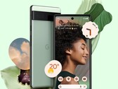 Il Google Pixel 6A offre un incredibile rapporto qualità-prezzo per quanto riguarda la fotocamera. (Fonte: Google)
