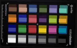 Immagine ColorChecker Passport