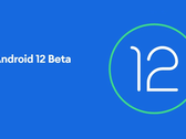 Android 12 Beta 4 è ora disponibile su più dispositivi. (Fonte immagine: Google)