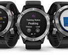 La serie Fenix 6 dovrebbe essere in procinto di ricevere un altro aggiornamento stabile. (Fonte: Garmin)