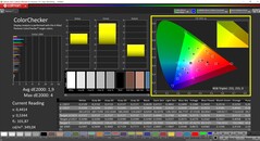 Calibrazione CalMAN ColorChecker (Spazio colore target P3)