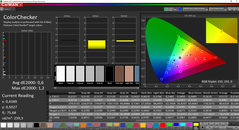 CalMAN - ColorChecker (calibrato)