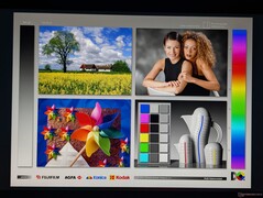 Ampi angoli di visione IPS