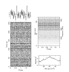 Forse una pulsar? (fonte: Cercatori di pulsar)