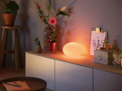 La lampada da tavolo Philips Hue Flourish
