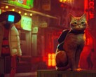 Il gatto in Stray. (Fonte: BlueTwelve Studio)