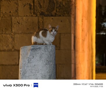 Vivo X300 Pro 200 mm con teleconvertitore.