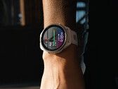 Potrebbe passare un po' di tempo prima che Garmin invii una build 19.xx stabile. (Fonte: Garmin)