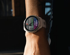 Potrebbe passare un po' di tempo prima che Garmin invii una build 19.xx stabile. (Fonte: Garmin)