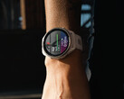 Potrebbe passare un po' di tempo prima che Garmin invii una build 19.xx stabile. (Fonte: Garmin)