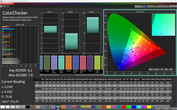 CalMAN sRGB precisione del colore