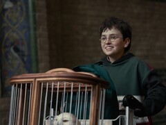 Su Reddit, i fan di Harry Potter stanno discutendo dei momenti emotivi del libro che non dovrebbero essere lasciati fuori dalla serie HBO.