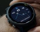 Garmin sta distribuendo la versione software pubblica 17.24 agli smartwatch Forerunner 255. (Fonte: Garmin)