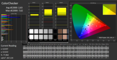 CalMAN - ColorChecker (calibrato)