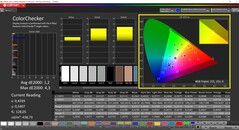 CalMAN ColorChecker calibrato (spazio colore target P3)