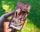 Tutti gli smartphone Pixel dotati di Tensor dovrebbero beneficiare dei miglioramenti della GPU grazie a Android 14 QPR1, compreso il Pixel 8 Pro, nella foto. (Fonte: Notebookcheck)