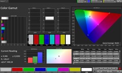 Spazio colore CalMAN