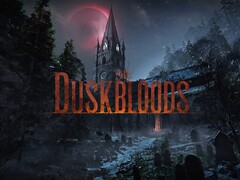Viene mostrato il banner relativo al test di rete di The Duskbloods per Switch 2