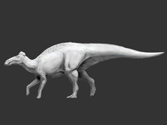 Edmontosaurus annectens è il primo dinosauro di cui si conosce la presenza di zampe simili a zoccoli (fonte: Science.org)