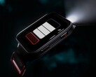 Lo smartwatch Garmin Venu X1 sarà disponibile su ordinazione a metà giugno. (Fonte: Garmin)