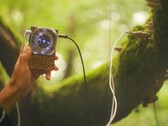 Pocket Scion crea musica basata sull'attività elettrica delle piante. (Fonte immagine: Instruō)