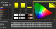 CalMAN - ColorChecker (dopo la calibrazione)