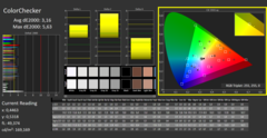 CalMAN - Color Checker (calibrato)