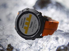 La serie Fenix 6 ha ricevuto il suo primo aggiornamento in qualsiasi forma dall'inizio dell'anno. (Fonte: Garmin)