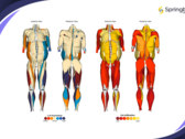 Springbok Analytics offre un'analisi muscolare 3D alimentata dall'AI. (Fonte: Springbok Analytics)