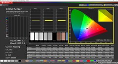 CalMAN ColorChecker (profilo Display-P3, spazio colore target P3)