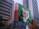 Il "gatto da 200MP" di Samsung. (Fonte: Samsung)